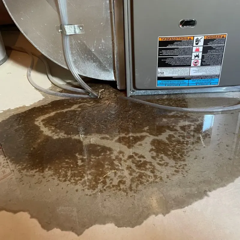 Pipe Burst and Leak Restoration in Ingleside, TX
